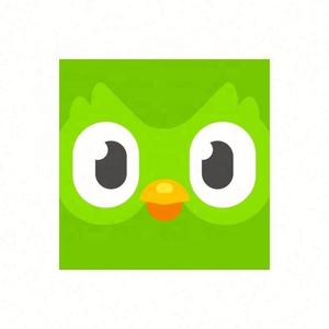 Cuenta Global de Duolingo, Duolingo Premium, Duolingo Super, 1 Año, 1, 3, 6, 12 Meses, Vincula tu Cuenta - Product Image 3
