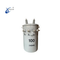 Transformador Monofásico de 75kVA 15kV/120V Montado en Poste, Resistente para Servicio en Ambientes Hostiles