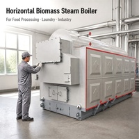 5.5T/jam Vigoroso Industrial Tekanan Tinggi Sirkulasi Alami Tabung Air Horizontal Biomassa Pelet Kayu Berbahan Bakar Batubara Otomatis