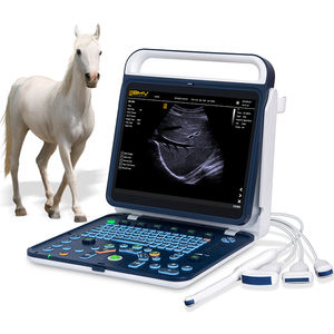 <span class=keywords><strong>Scanner</strong></span> à ultrasons colorisé rentable 2024 Machines à ultrasons hépatiques de diagnostic équin haute définition pour chevaux - Product Image 1