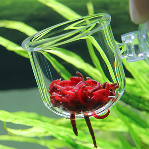 <span class=keywords><strong>Modern</strong></span> <span class=keywords><strong>Design</strong></span> Visbak Rode Insectenbeker Acryl <span class=keywords><strong>Aquarium</strong></span> Feeder <span class=keywords><strong>Aquarium</strong></span> Zuignap Oogst Garnalen Mos Waterplant Plant Beker - Product Image 2