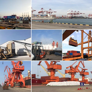 Concime organico NPK 12-0-1 rilascio controllato 20% materia organica letame agricoltura nero granulare - Product Image 6