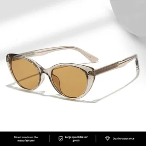 Novos Óculos de Sol Polarizados Cat Eye da Série Flat Pin, Alta Qualidade, Anti-UV, Moda Exclusiva Transfronteiriça Unissex - Product Image 1