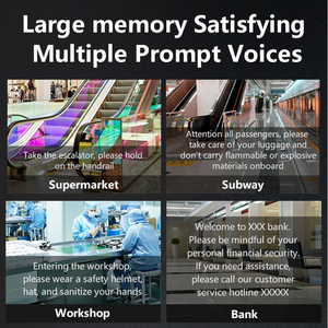 Chào mừng bằng giọng nói Báo động hồng ngoại PIR pyroelectric cảm biến âm thanh Máy nghe nhạc loa với USB thay đổi giọng nói tập tin - Product Image 2