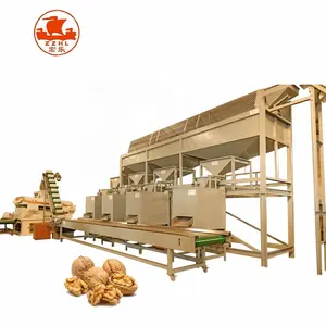 Automatic high quality walnut shea nuts cracking separating machine factory