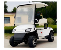 Voiturette de golf électrique légère Tarion certifiée CE, 2 places, 3000W, 60V, 30-50Km/h, autonomie 90km, couleur personnalisée, batterie sans entretien
