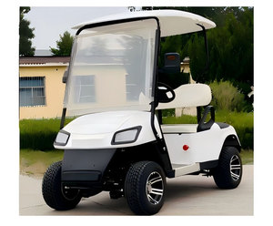 Giá thấp 2 CHỖ NGỒI 3000W động cơ tùy chỉnh màu sắc nhẹ điện Golf cart'for Scenic Spot - Product Image 2