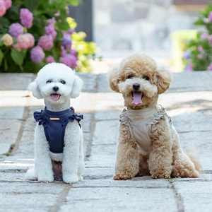 <span class=keywords><strong>Harnais</strong></span> <span class=keywords><strong>pour</strong></span> animaux de compagnie de style coréen, spécial <span class=keywords><strong>pour</strong></span> petits chiens, Teddy, Bichon Frisé, <span class=keywords><strong>Yorkshire</strong></span> Terrier, laisse <span class=keywords><strong>pour</strong></span> chien en maille respirante <span class=keywords><strong>pour</strong></span> l'extérieur - Product Image 1