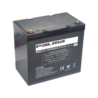 Baterai Palma PM55-12 VRLA Sealed 12V 55Ah untuk Sistem Alarm Penerangan, Sistem Keamanan, Peralatan Medis, Mainan, UPS, Peralatan Rumah Tangga