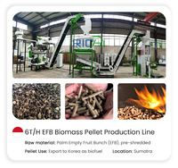 RICHI Heavy Duty Indonesië Biomassa Lege Fruitbundels Pellet Productielijn Houtpellets Machine Set voor Mesin Pelet Kayu