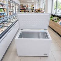 Réfrigérateur horizontal solaire/électrique 101L de haute qualité pour usage hôtelier et domestique, congélation profonde, porte pliante, classe énergétique