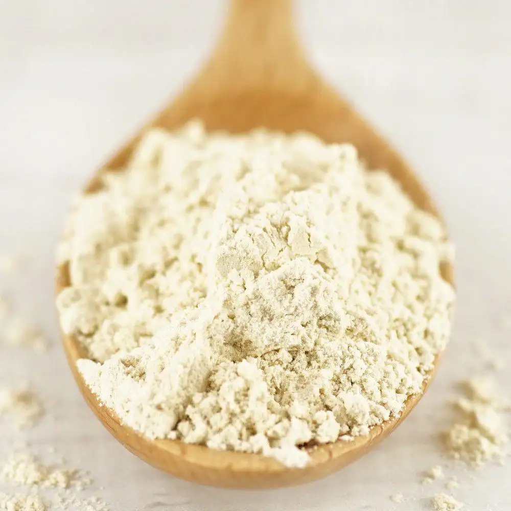 Precio de fábrica Harina de gluten de trigo vital orgánico 25kg Proteína de trigo en polvo a granel