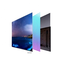 Google Alexa 65 pulgadas 55 pulgadas 4K UHD Smart Android OLED TV sin marco OLED negro 500 NITs aplicable Hotel TV IPTV sistema