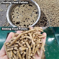 Machine à granulés flottants pour animaux de compagnie, pour la fabrication d'aliments pour poulets et poissons, moulin à granulés, ligne de transformation des aliments, machine à granulés