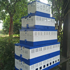 Vendita calda grande cassa di plastica pieghevole per il trasporto di pollo direttamente dalla fabbrica modello solido chiusura a bottone per l'applicazione degli uccelli - Product Image 1