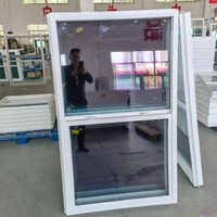 Fenêtres coulissantes horizontales en PVC/UPVC pour maisons modernes, personnalisables, économiques et écologiques