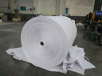 Papier thermique pour caisse enregistreuse, qualité supérieure, prix bas, 400 mm x 800 mm, 48 g/m², rouleau jumbo monocouche