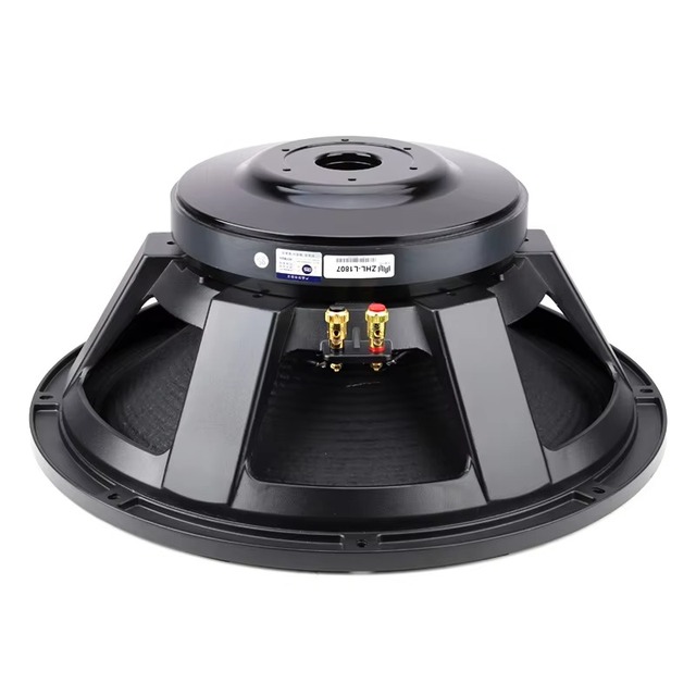 18 Inch Professional Subwoofer 700W RMS PA Speaker 100mm Voice Coil 250mm Magnet 8ohm Metal for Stage Concert Sound System