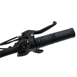 Vélo de ville électrique de 24 pouces pour femmes, vélo électrique de 36V et 350W, 2 roues motrices, présentoir de siège arrière pour bébé - Product Image 3