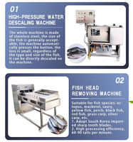 AICN – machine à éplucher le thon, machine de découpe de poisson de haute qualité