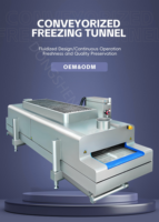 Cryogene snelvriesinstallatie voor vlees, fruit en groenten, snelvriestunnel, IQF-machine, prijs, hoge efficiëntie snelvriezer