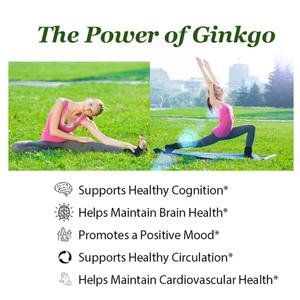 OEM ODM Marque Privée Ginkgo Biloba 500mg - Soutient la Fonction Cérébrale et la Santé Cardiovasculaire, Favorise l'Humeur Positive et l'Énergie, Végétalien - Product Image 2