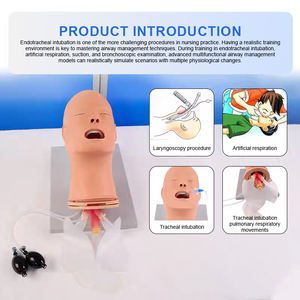 Maniquí de PVC Multifuncional Avanzado ADA J52 de Medio Cuerpo para Entrenamiento en Gestión de Vías Respiratorias en Escuelas de Medicina y Ciencias, Shanghái - Product Image 5