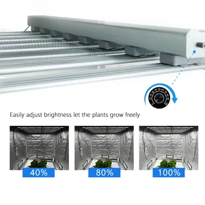 Luz de cultivo comercial de produtos hortícolas, modelos mais recentes, 640W, 720W, 800W, 1000W, com novas correntes, luz de cultivo de espectro completo