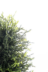 Vente chaude Treesmas 1.6 mètres de haut en forme de cône en plastique et métal arbre artificiel plante topiaire pour la décoration intérieure extérieure - Product Image 3