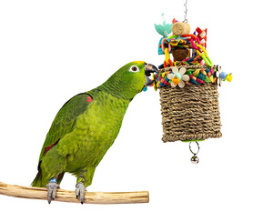 Durable <strong>Parrot</strong> Bird <strong>Toy</strong> Handwoven Grass Weaving Bite String Fruit Tearing Bird Cage Hanger Pet Grinding Teeth Play <strong>Toy</strong>