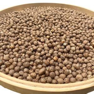 Riso di <span class=keywords><strong>bambù</strong></span> di origine d'origine e <span class=keywords><strong>semi</strong></span> stile essiccato crudo con processo di essiccazione unico - Product Image 5