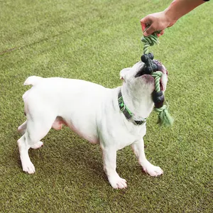 環境にやさしい犬のおもちゃリサイクル素材デンタルケア犬のタフなロープのおもちゃ