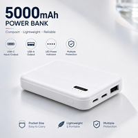 Batterie externe portable mini 5000 mAh à charge rapide pour téléphone portable, vente en gros d'usine, logo personnalisé, fournisseur OEM ODM