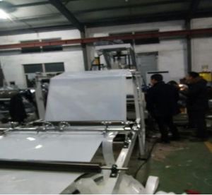 200cc Micro Melt bơm đùn cho sản xuất nhựa đùn - Product Image 4