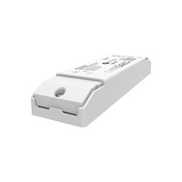 Driver LED Arus Konstan CCT Skydance 150-450mA 12W Zigbee3.0 PB-12A-2(WZS) Tuya/Kontrol Suara untuk Pencahayaan LED Dalam Ruangan