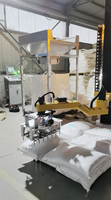 Désengaucheteuse pour Terre de Diatomées (Aide Filtrante), Bras Robotique, 25 kg/sac, 100 Sacs/h, Collecte Automatique des Déchets, PLC, Trémie en Acier Inoxydable