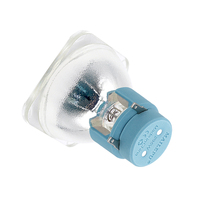 Mailepu 295W ampoule de scène 14R faisceau tête mobile lampe à mercure pour Concerts DJ éclairage théâtres KTV émission UV