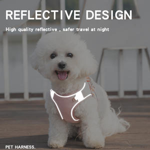 Set al guinzaglio a striscia riflettente alla moda, materiale traspirante, multicolore per cani piccoli e mediali - Product Image 2