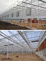 Grote, intelligente glazen kas voor hydroponische teelt van groenten, fruit en bloemen.