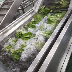 เครื่องล้างผลไม้แบบฟองขนาดเล็กสำหรับอุตสาหกรรมเครื่องซักผ้าแบบหมุนสำหรับผักและผลไม้ - Product Image 3