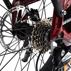 Bird Vintage E-bike 250W Mid Drive Motor M510 Bike Fat Tire Bird-M Road Bike Bird Vintage E-bike 250W Mid Drive Motor M - Product Image 1