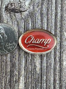 Ensemble de cabochons doublet paysage sud-ouest unique Pierres précieuses en vrac Parfait pour la fabrication de bijoux et les accessoires artisanaux occidentaux - Product Image 2