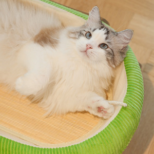 Estera de enfriamiento de verano de bambú sólido ecológico, hamaca para gatos con cama de clavo fresco, suministros para mascotas para gatos, hada Meow - Product Image 4