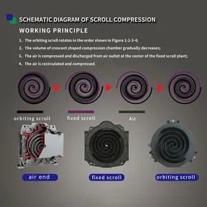 2.2KW 3hp 240L/min 8bar compressore d'aria Scroll senza olio 5L dotato di serbatoio per motore dentale alimentato a corrente alternata