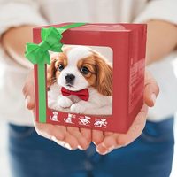 2026 Neue Bunte Geschenkbox-Verpackung Roboterhund Welpen Realistische Roboter-Hunde für Erwachsene und Kinder Geschenk