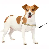 Hanyang New Arrival No Pull Dog Harness Pet Tactical Custom Dog Harness  Luxury Dog Harness Adjustable Dog Harness Step in Dog Harness - China Dog  Harness and Adjustable Dog Harness price
