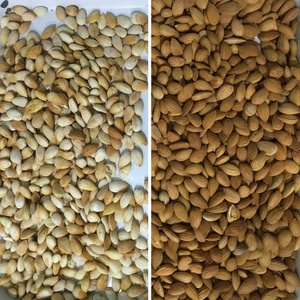 Chất lượng cao CCD hạnh nhân <span class=keywords><strong>separator</strong></span> quang SORTER Hazelnut màu SORTER cho nông nghiệp Nut chế biến - Product Image 4