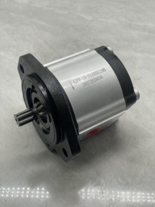 Pompe à engrenages externe hydraulique série AZPW AZPB AZPS AZPN AZPG AZPF AZPG-22-036RCB20MB 0510725168 - Product Image 1