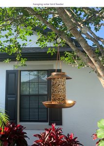 Mangeoires suspendues pour oiseaux sauvages Petdom, mangeoires solaires pour oiseaux d'extérieur avec crochet, mangeoire en métal avec lumière - Product Image 2