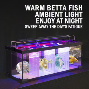 JSD 4-Fach Betta-Fischbecken aus Glas mit Rückfilter und LED-Beleuchtung – Desktop-<span class=keywords><strong>Aquarium</strong></span> für Kampffische - Product Image 2